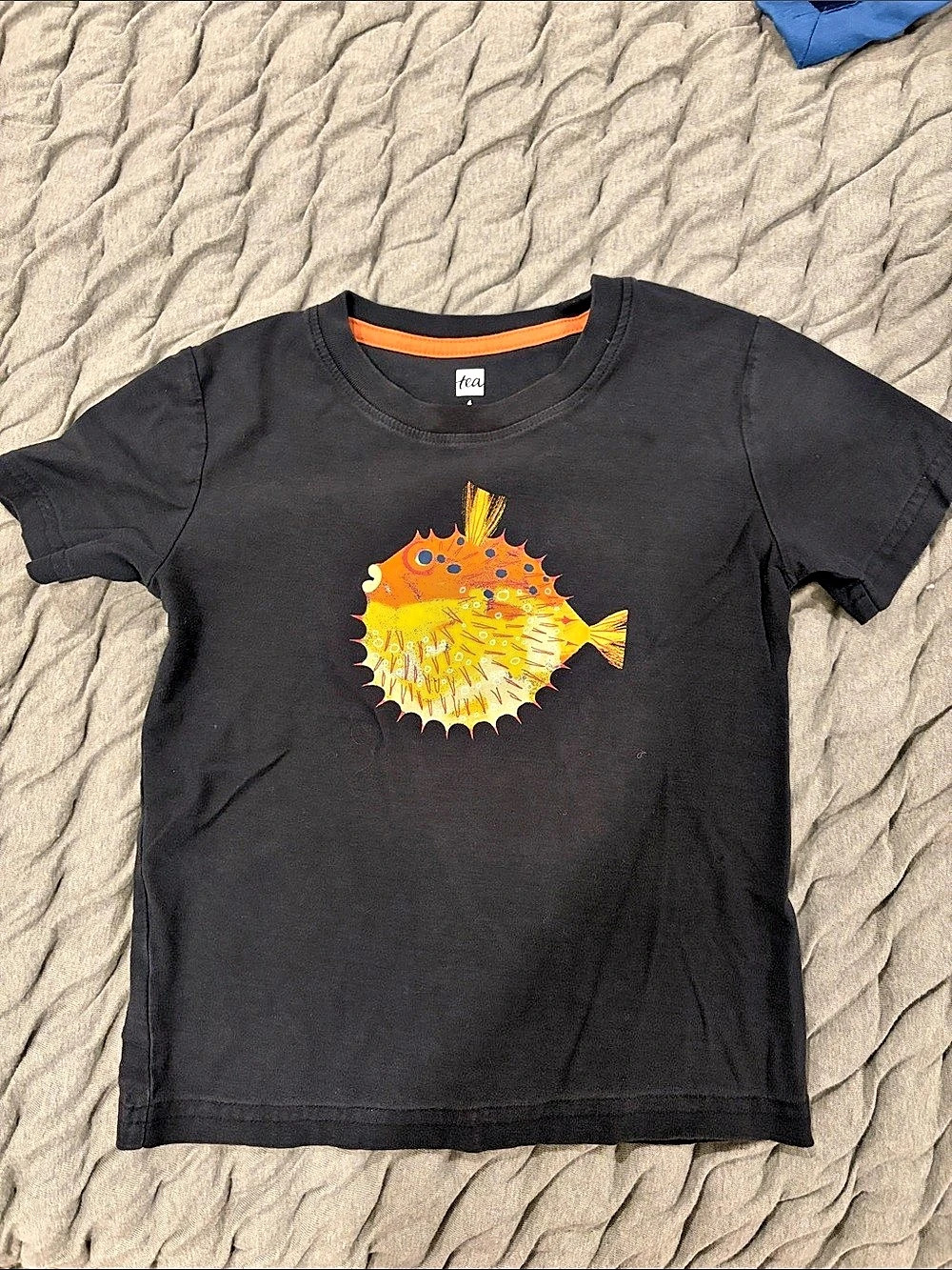 Tea Boys Graphic Short Sleeve Tee Size 4